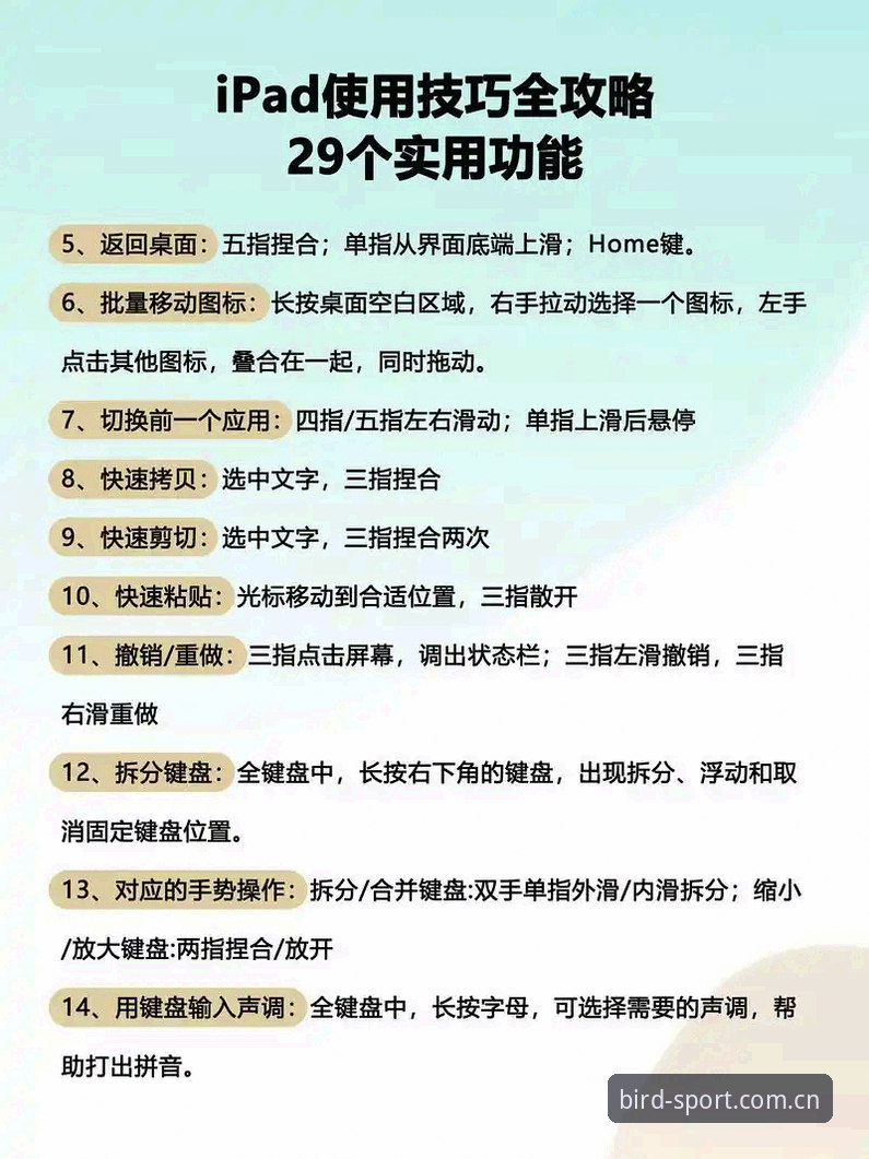 小鸟体育官方App新手指南：从入门到精通